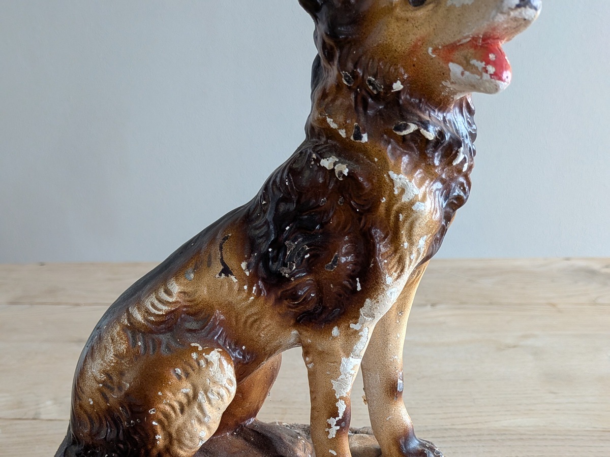 �ե�󥹡��ץ饹�������йѡˡ�������ʪ��265mm��7126