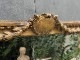 �륤16���ͼ�������ȥ��������������ܤ��줿������ɥߥ顼��6681_01
