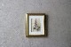 �ѹ񡡳�����Ƽ�ǲ��̿� ��The family herbal��John Hill 1812ǯ �إե��å��ӥå�&�������ꥹ&���饯�����ޥ�١�No.MA_JH16