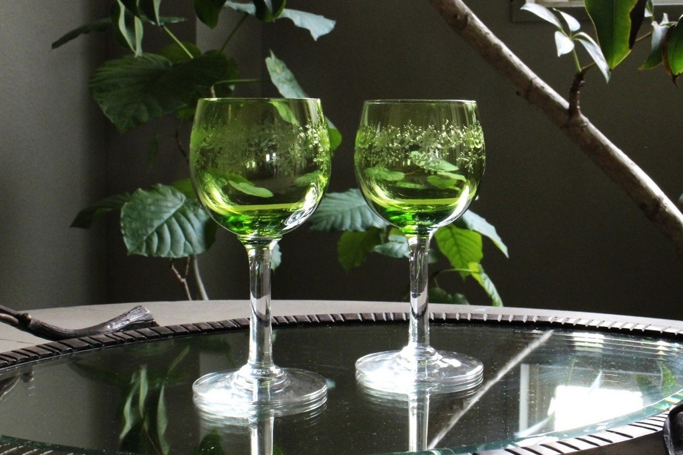 Х顡ӡ̡ȥ塼ʥ꡼ˤΥ磻󥰥饹136744