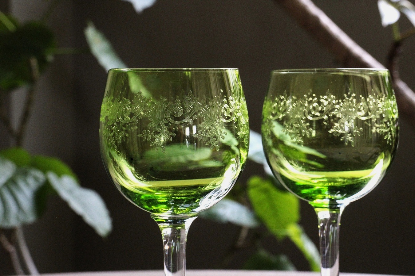 Х顡ӡ̡ȥ塼ʥ꡼ˤΥ磻󥰥饹136744