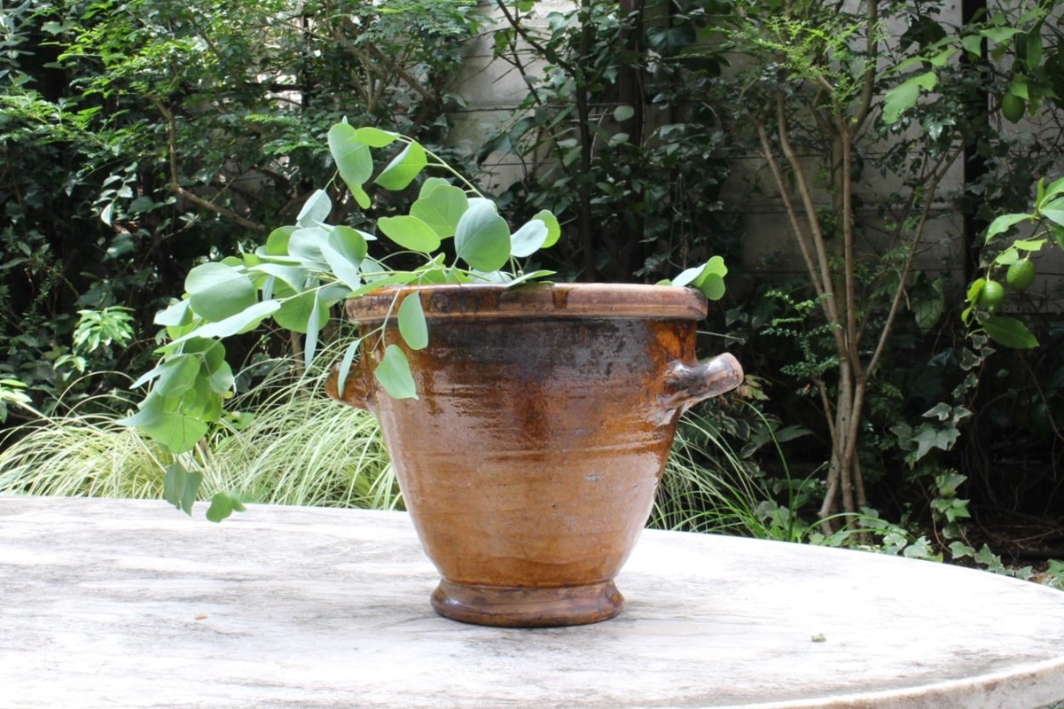 デュエマ 異郷万雪庭園 エンドレス=ルフェニフェツアル デッキ デュエマ 異郷万雪庭園 エンドレス=ルフェニフェツアル デッキ 204-020