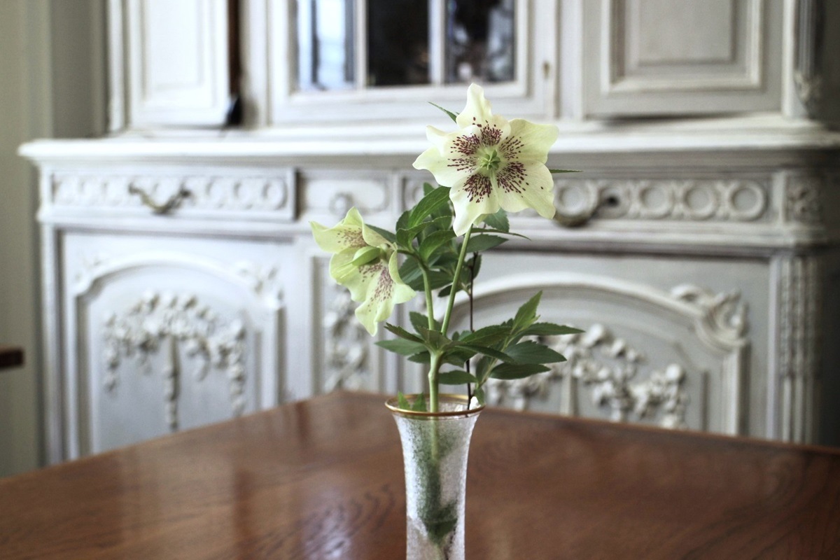 륤åɥå󥰤ܤ줿ե١5618