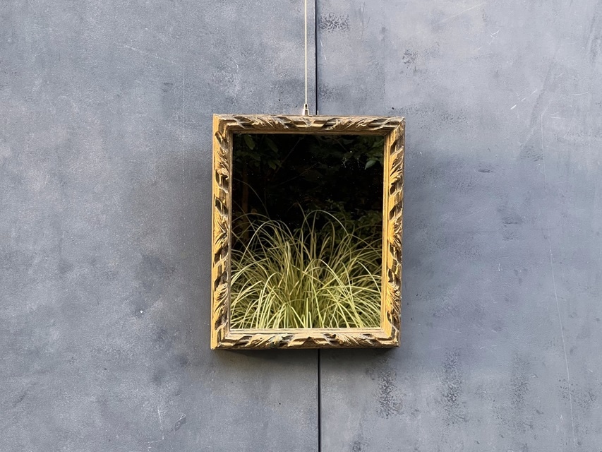 �ե�󥹡���ܥ����������Υ��åǥ�ߥ顼��635002