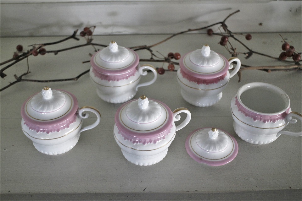 �ե�󥹣�����������ȥԥ󥯤γ��դ����꡼�५�åס�5494