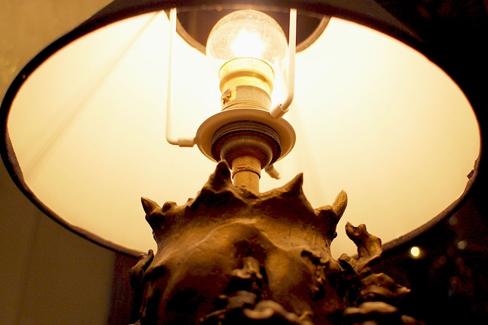 �ե�󥹡����󥸥��롡�֥��󥺥��ץ�����ɡ�2184