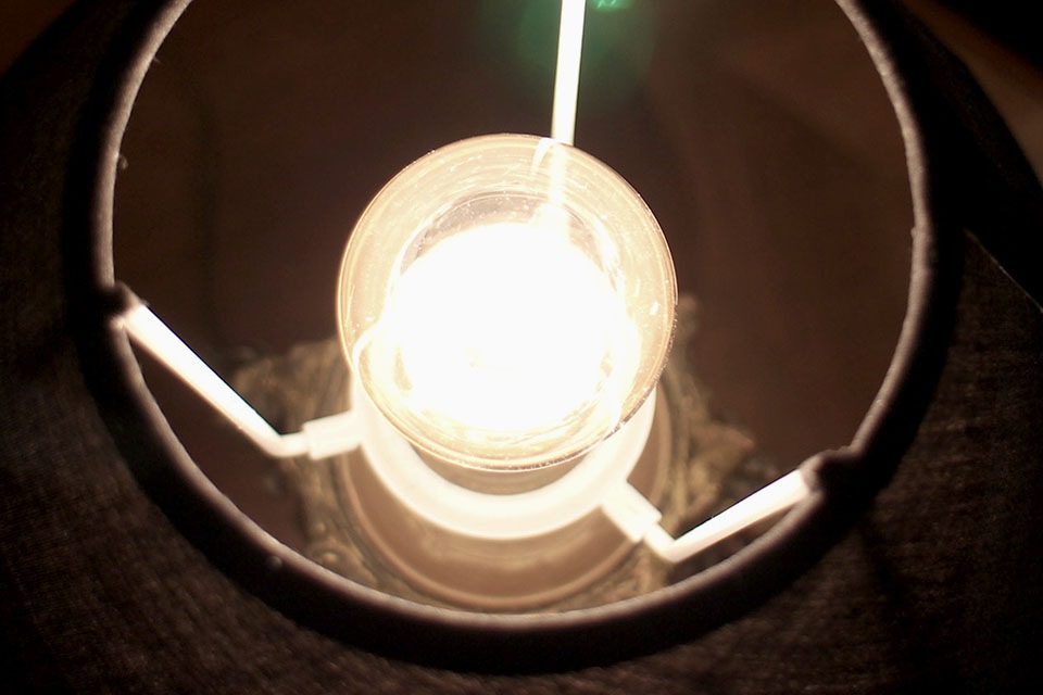 �ե�󥹡����󥸥��롡�֥��󥺥��ץ�����ɡ�2184