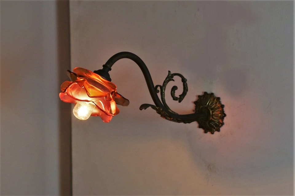 �ե�󥹡�����С��ȥԥ󥯤��鯤Υ������ɤ��դ�����������֥饱�åȥ��ס�3091_4986