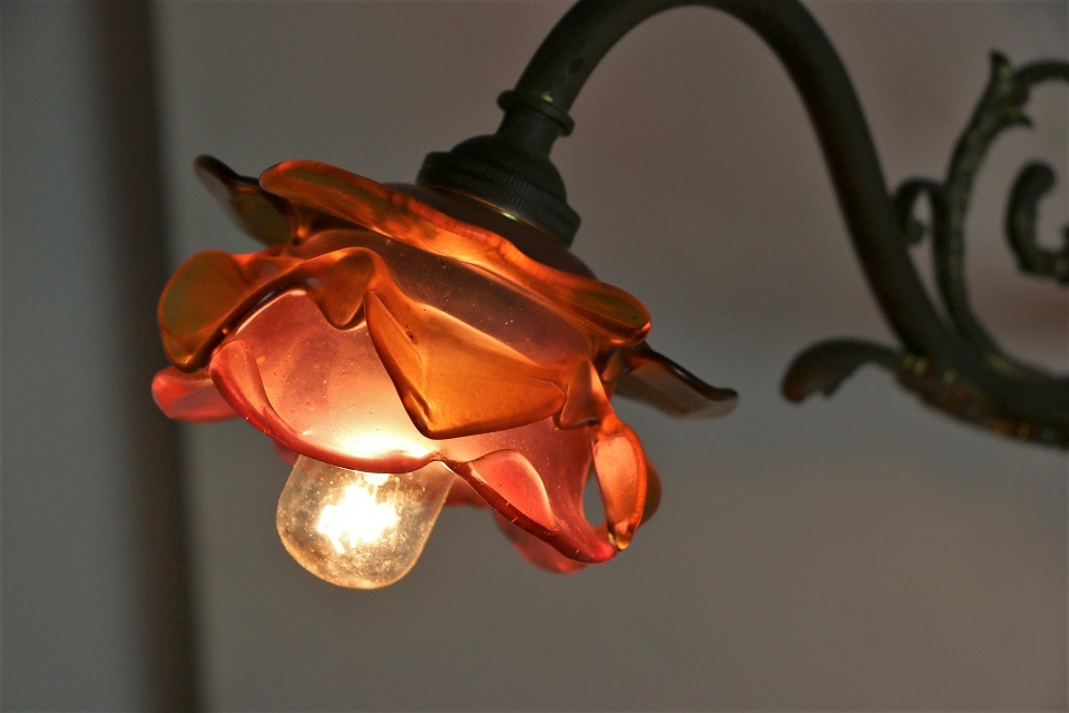 �ե�󥹡�����С��ȥԥ󥯤��鯤Υ������ɤ��դ�����������֥饱�åȥ��ס�3091_4986