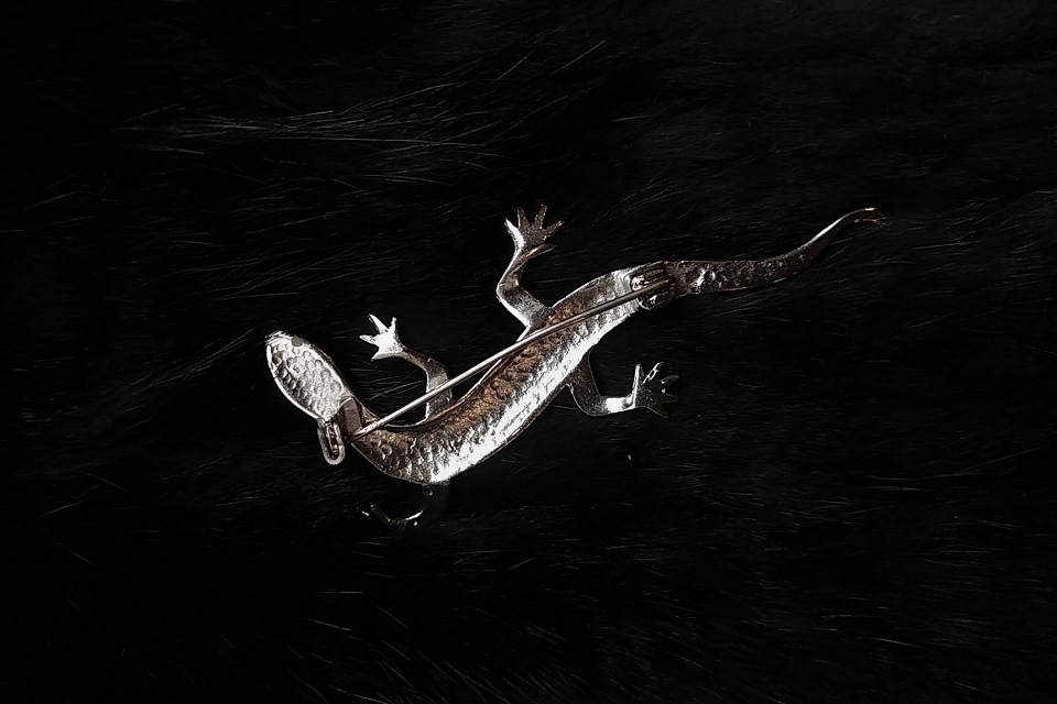 フランス トカゲブローチ ジュエリー ブローチ Majorelle