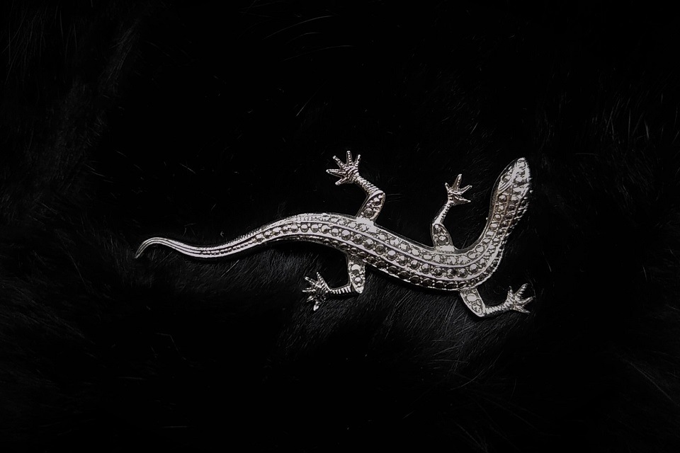 フランス トカゲブローチ ジュエリー ブローチ Majorelle