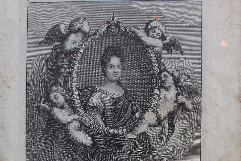 �ե�󥹡�������ɥץ��ȡ�Ƽ�ǲ�˥ե졼�ࡡ2816_17