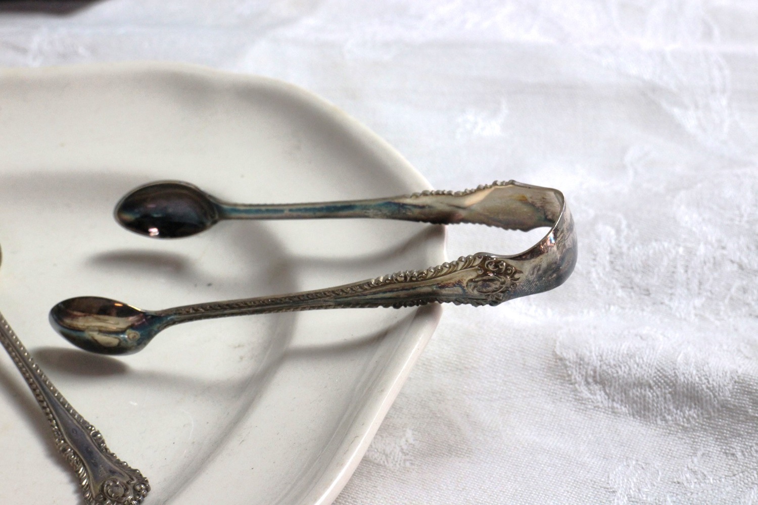  SALE 䡡ѹ񡡥եɡHenry Wilkinsonҡ1895ǯ 󥰥Сס󥻥åȡs5-103