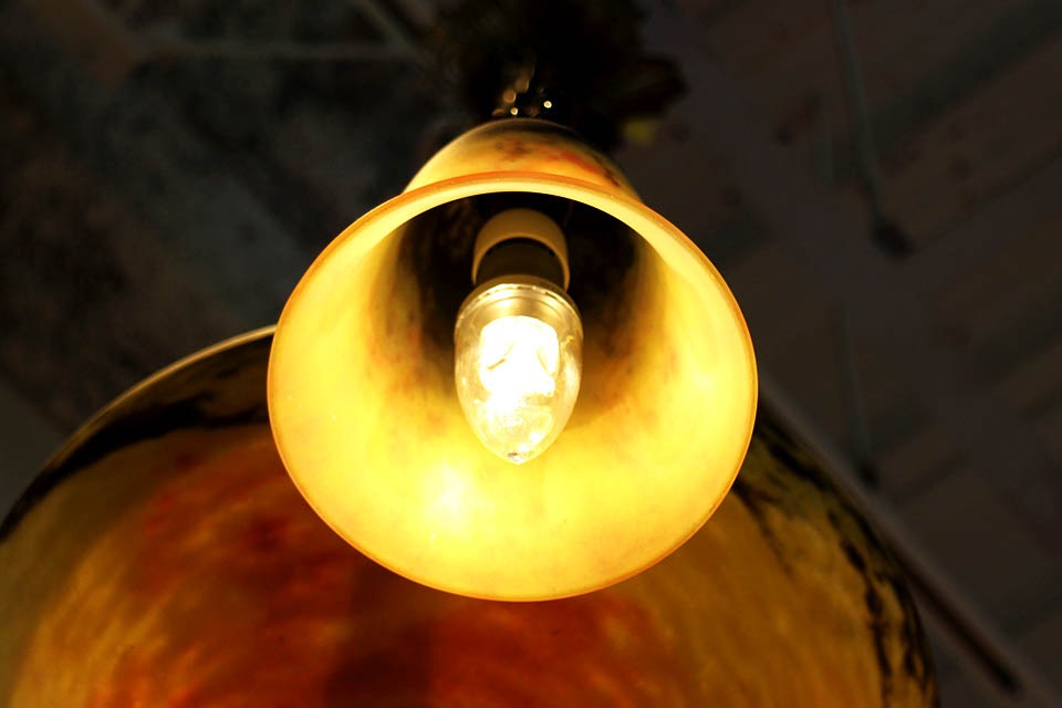 �ɡ��ࡡ4�������ǥꥢ��0446