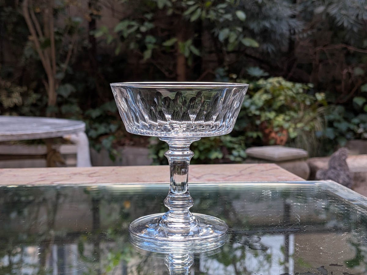 �Х��顡�����ԥˡ��������ѥ󥯡��ס�6366_7998