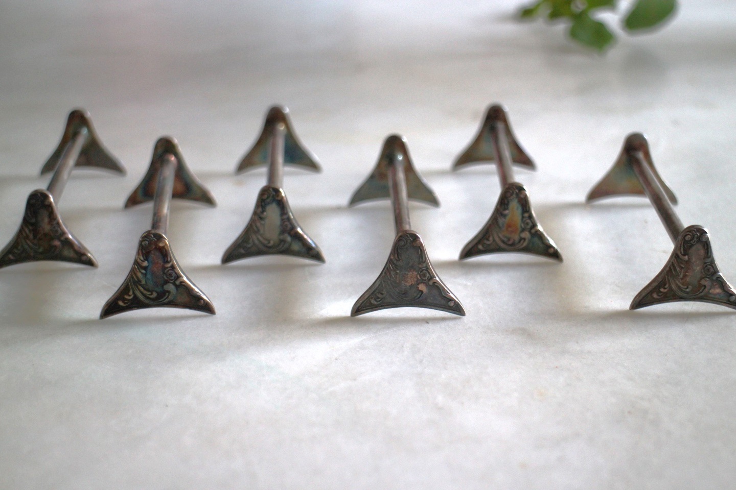 �ե�󥹡�����С��ץ졼�ƥåɡ����ȥ�꡼�쥹�ȡ�4245