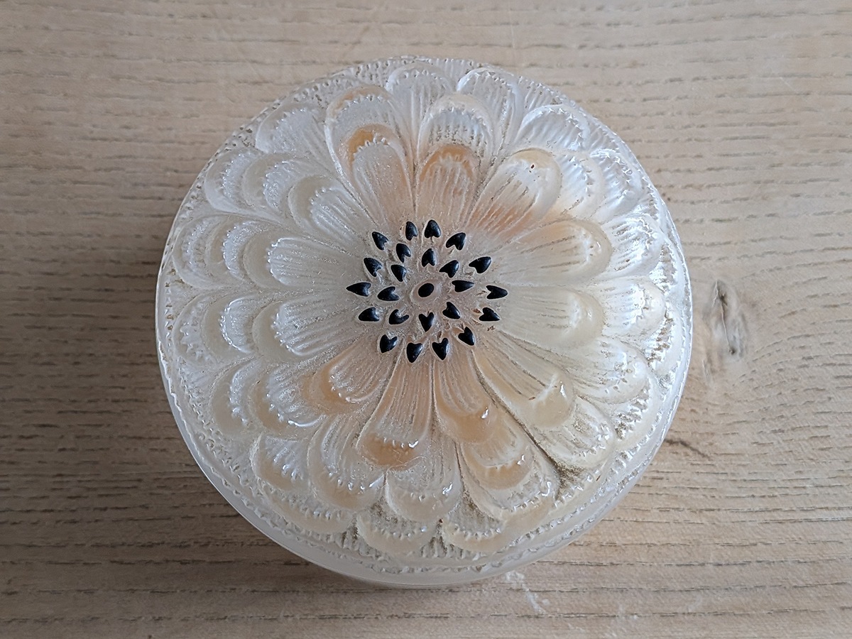 ���å���Dahlia�����ꥢ���ѥ�������������7096