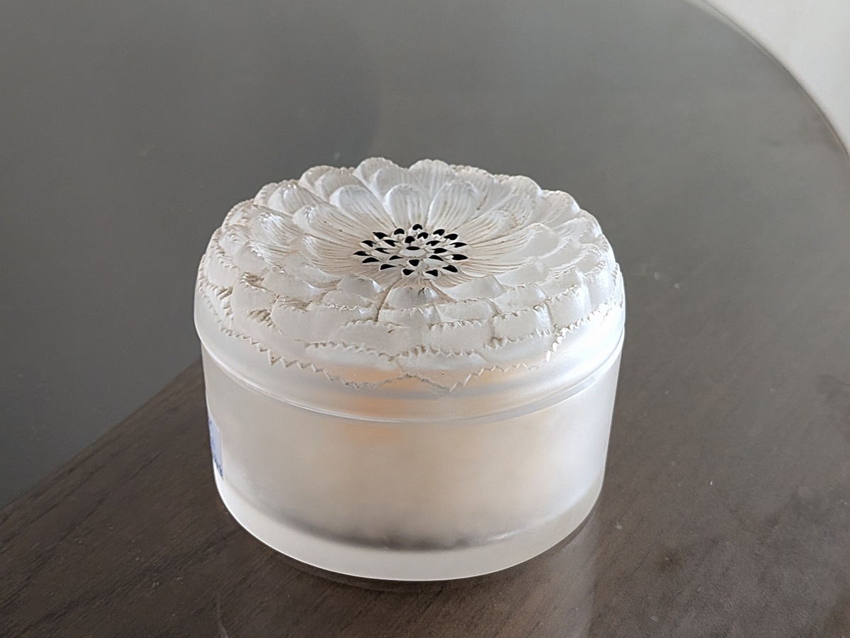 ���å���Dahlia�����ꥢ���ѥ�������������7096