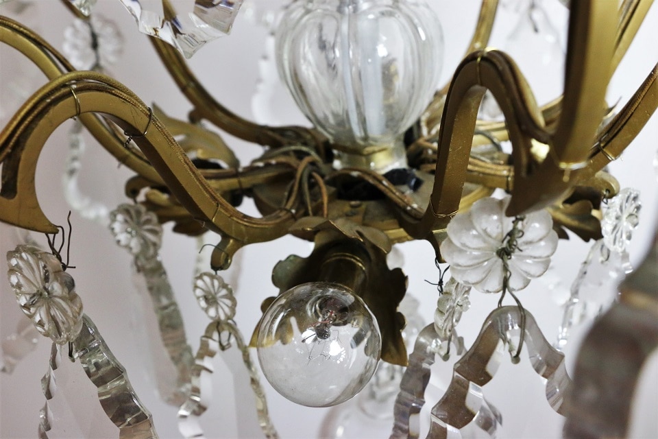 �ե�󥹡�����ƥ��������礭�ʥ��ꥹ����ɥ��åפ��Ĥ����ڤ䤫�ʥ����ǥꥢ��12����1355