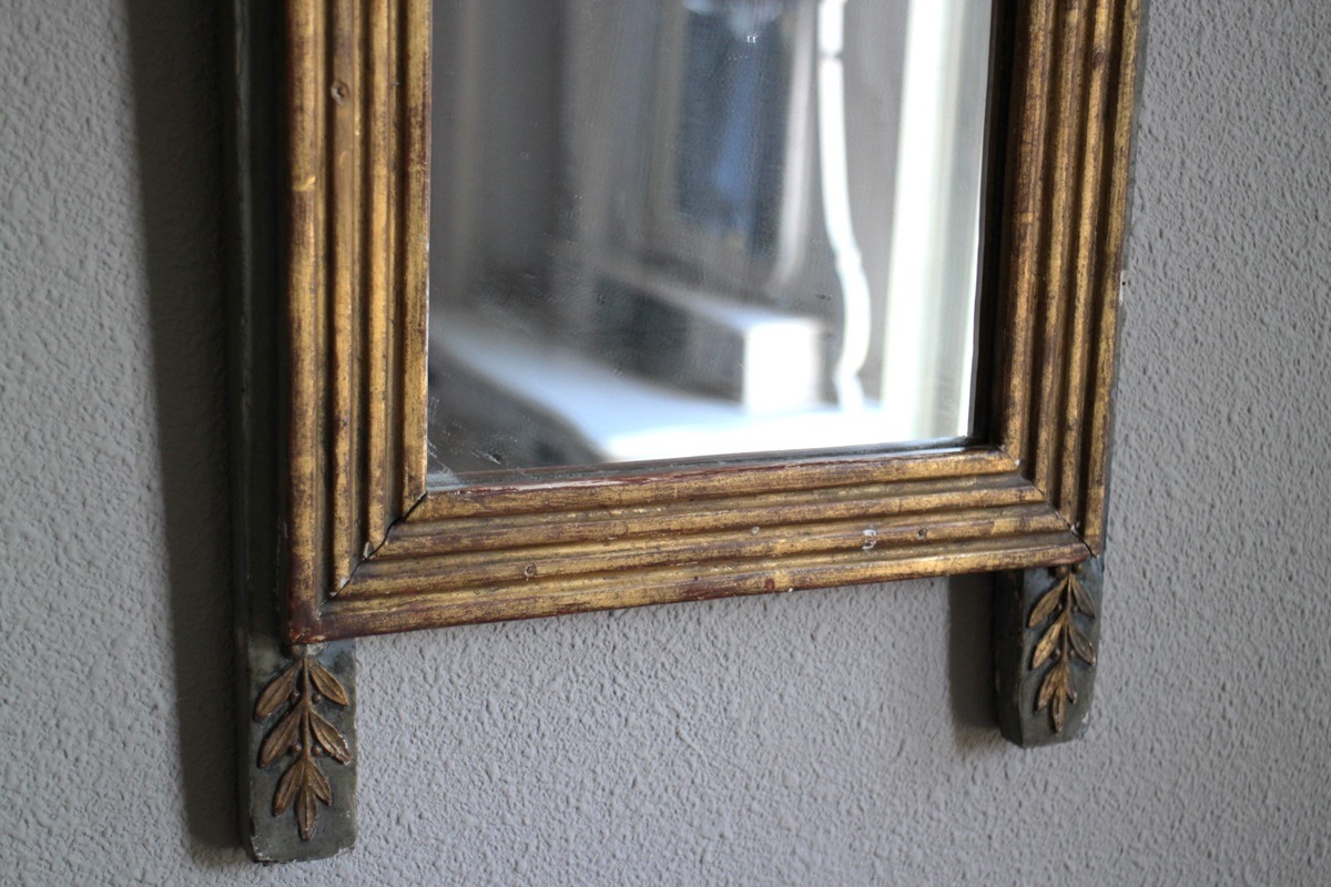 �ե�󥹡��ʥݥ쥪�����ͼ��ڥ���ȥߥ顼��6349