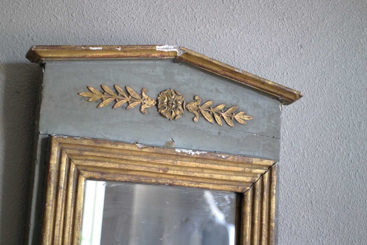 �ե�󥹡��ʥݥ쥪�����ͼ��ڥ���ȥߥ顼��6349