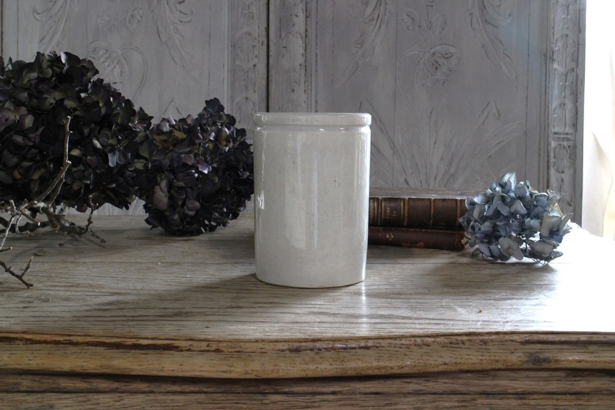 �ե��ƫ��ݥ��꡼���㡼��6054