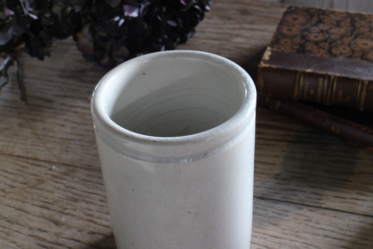 �ե��ƫ��ݥ��꡼���㡼��6054