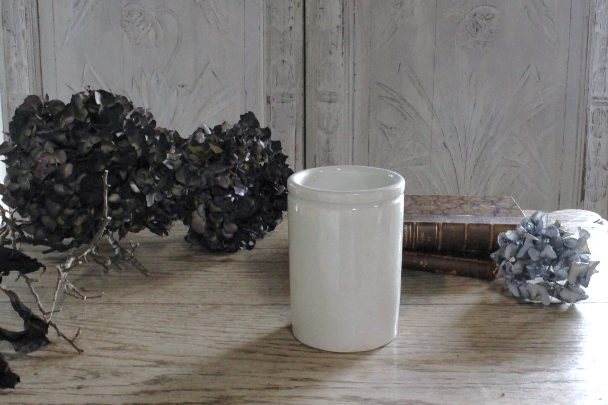 �ե��ƫ��ݥ��꡼���㡼��6054