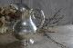 �ե�󥹡�������ǥ�������С��ץ졼�ƥåɥ��㥰��6036