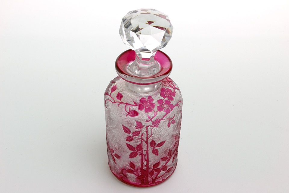 �Х���/�������������ѥե塼��ܥȥ� 421