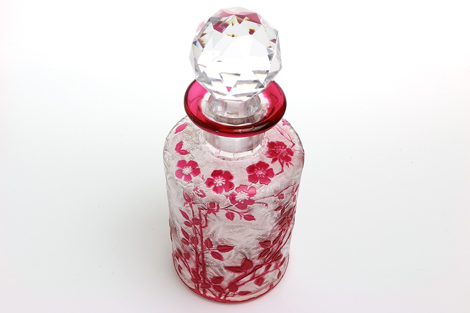 �Х���/�������������ѥե塼��ܥȥ� 423