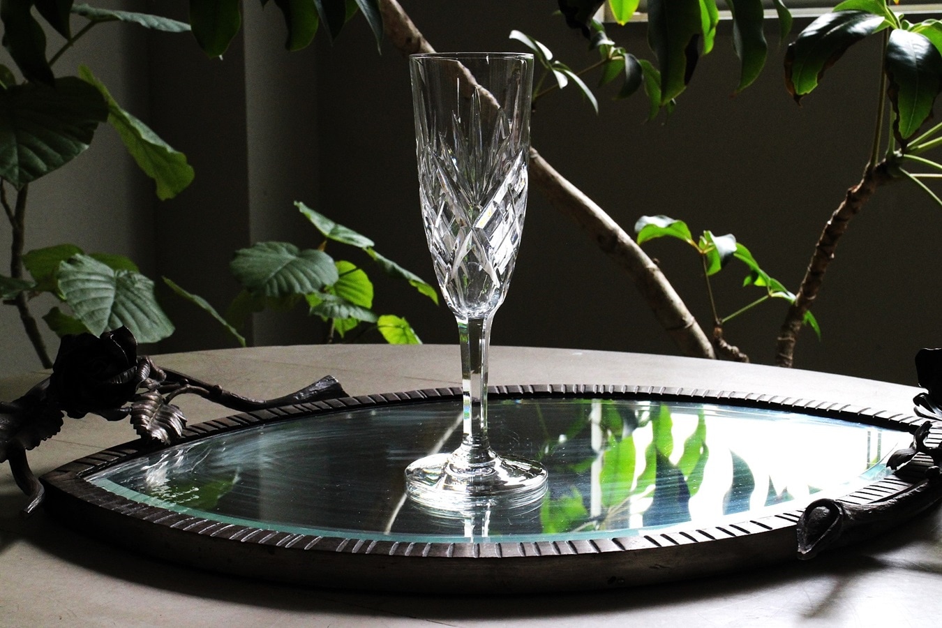 ����륤��Chantilly�������ƥ��������ѥ�ե롼�ȡ�189mm��6752