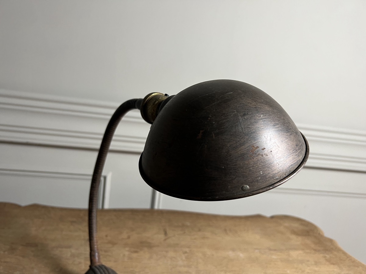 ������ơ������������ͥå����ǥ������ס�1202_364