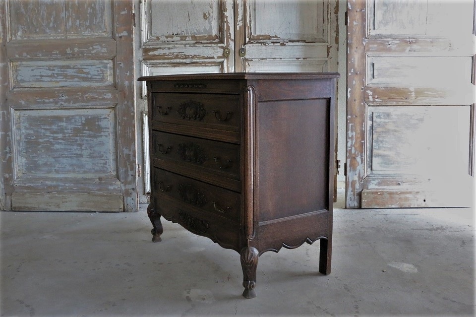 �����󥵥���Ħ�郎�������������������ȡ�4630