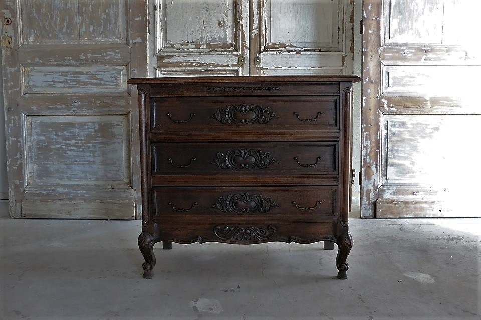 �����󥵥���Ħ�郎�������������������ȡ�4630