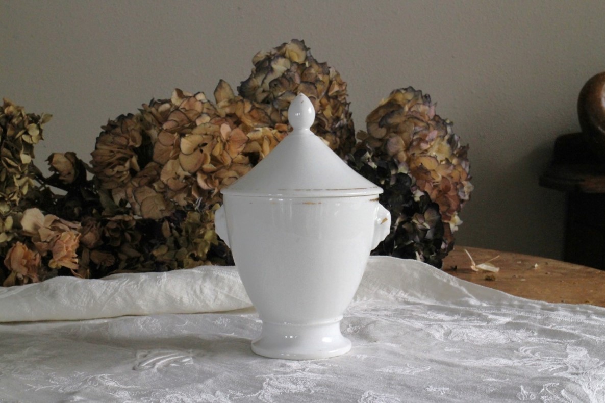 ��SALE�եե�󥹡��ѥ��ҡ��ݡ�����󥷥奬���ݥåȡ�6123