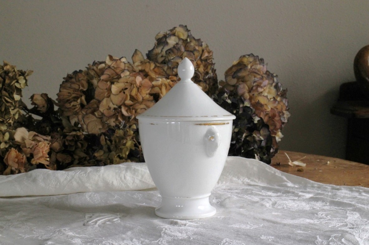 ��SALE�եե�󥹡��ѥ��ҡ��ݡ�����󥷥奬���ݥåȡ�6123