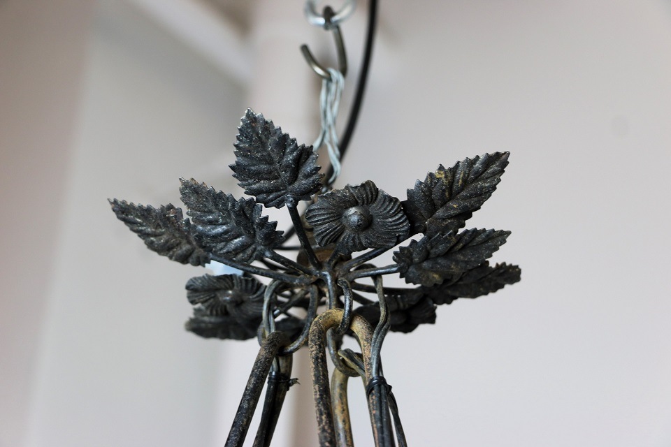 �ե�󥹡��ߥ塼�顼��������ǥ���4�������ǥꥢ��5889