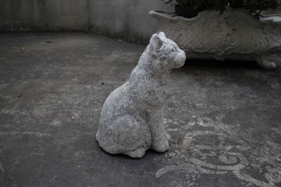 ǭ�Υ����ǥ󥪡��ʥ��ȡ�4127