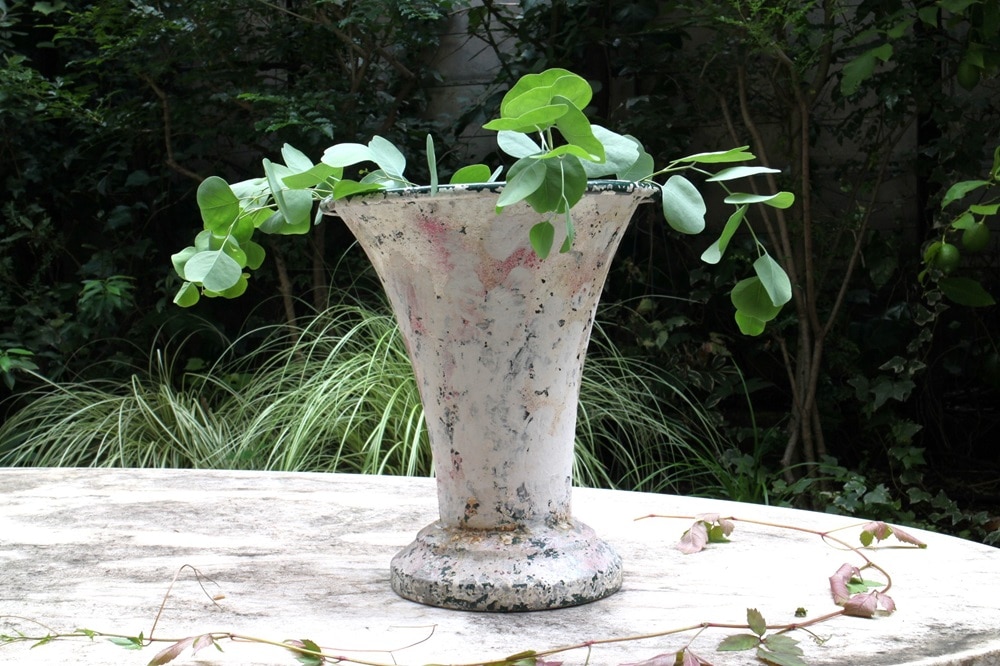 �ե�󥹡����ֲ�����Υ᥿��ե��ݥåȡ�6089