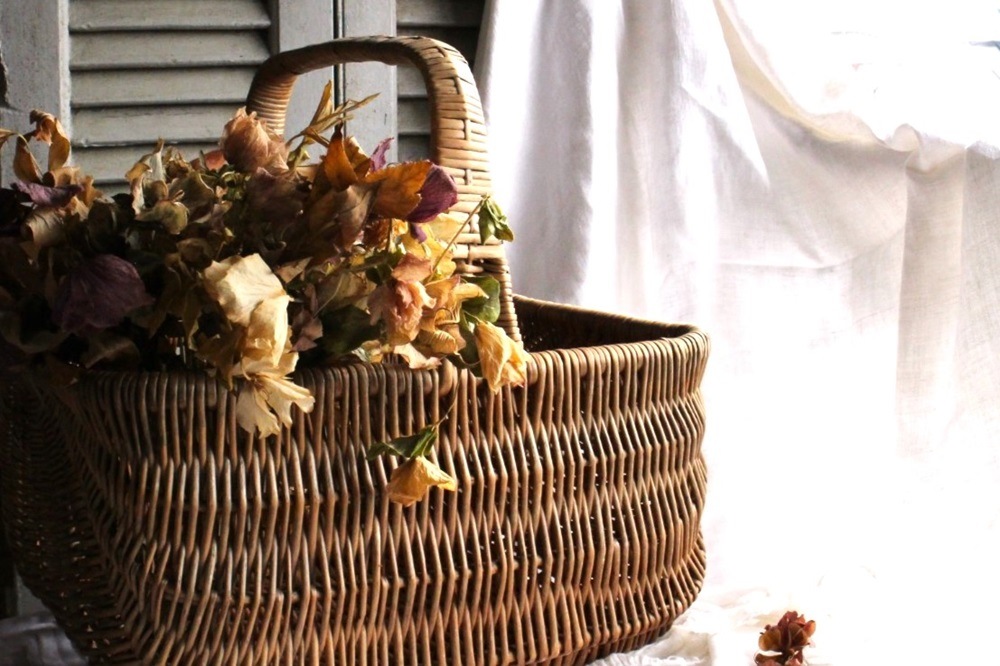 �ե�󥹡������å����Х����åȡ�6251