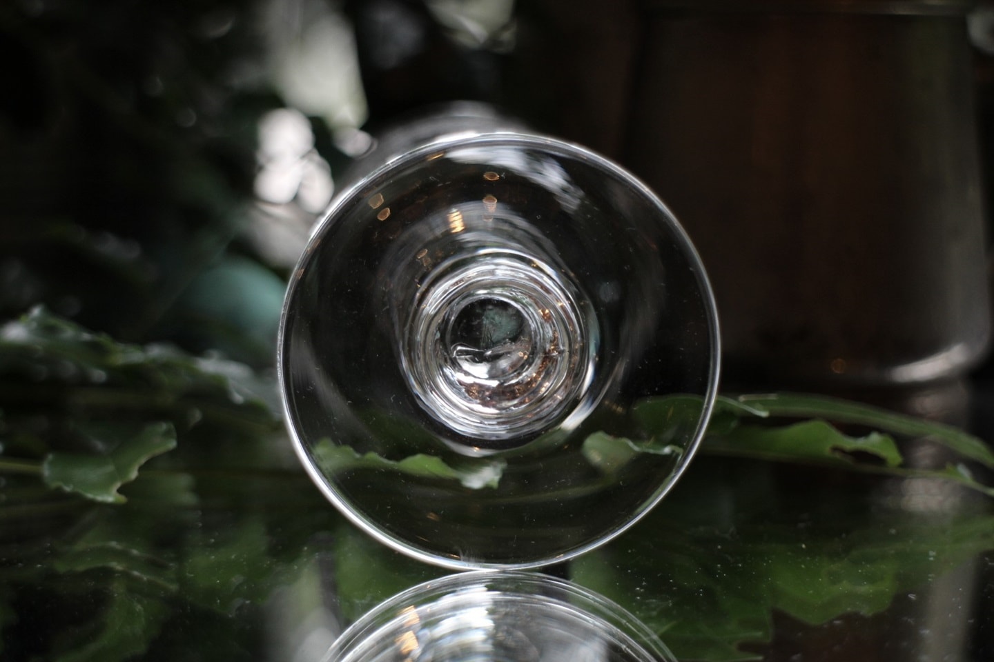 ����륤���ѥԥ󡡥��饹��5571