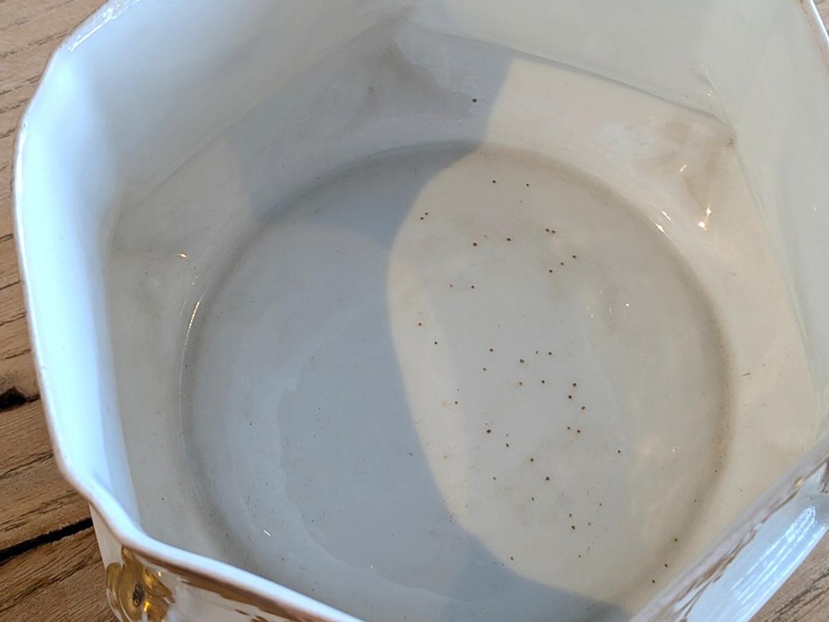 �ե�󥹡���⡼���塡��̤��ܤ��줿�礭��Υ��åס�7098