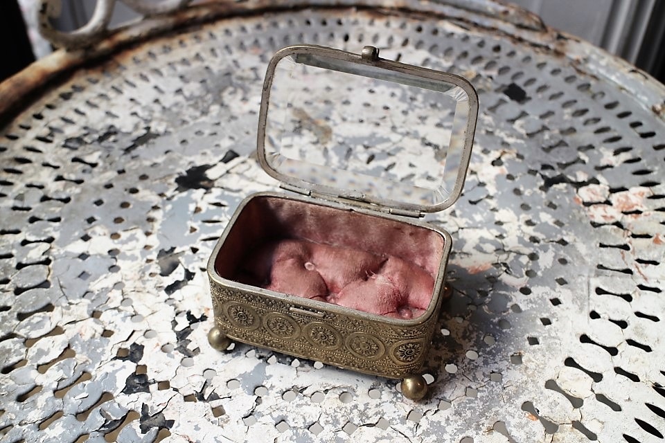 �ե�󥹡����奨�꡼��������0387