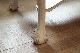 �ڥ���ƥåɡ������˥󥰥ơ��֥� 1296