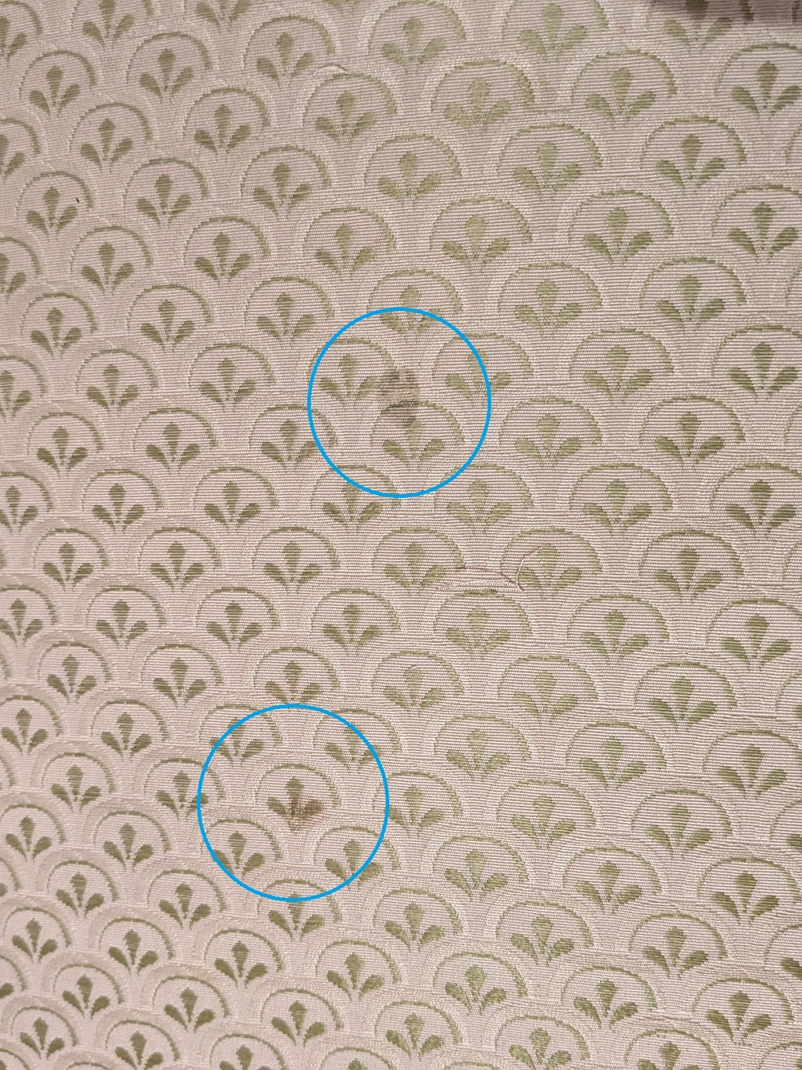 �ե�󥹡���ܥ������Υ륤16���ͼ���������658301