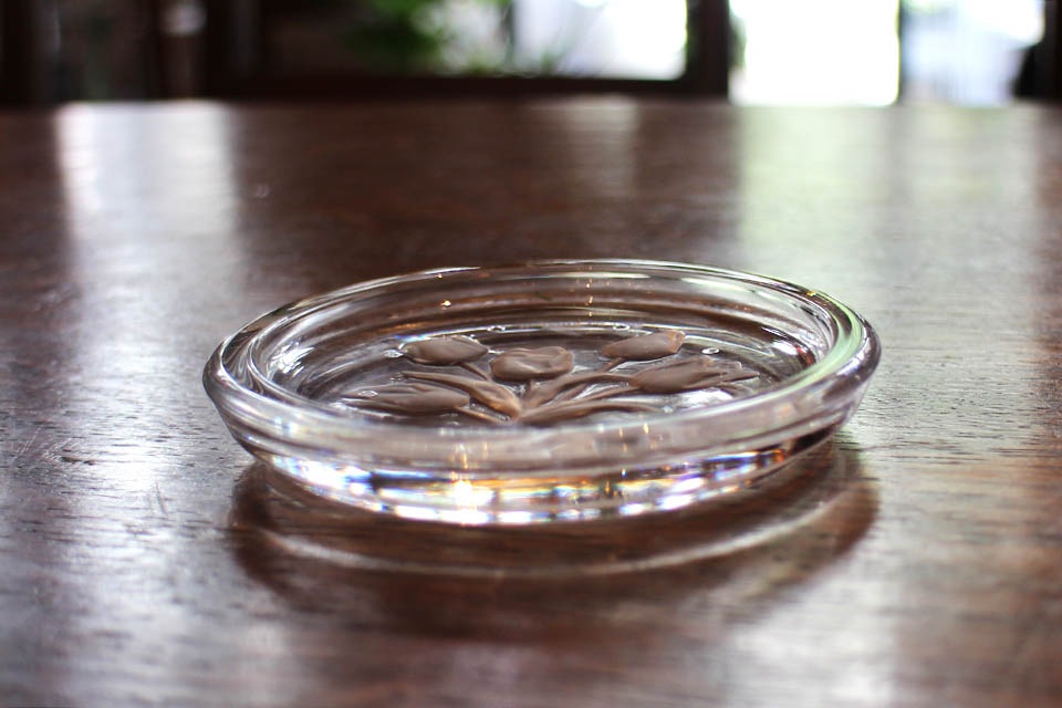 륵١롡󥻥åȡ3275