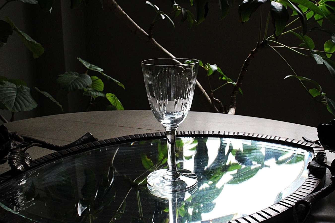 �Х��顡��ꥨ���롡�磻�󥰥饹��135mm��6753