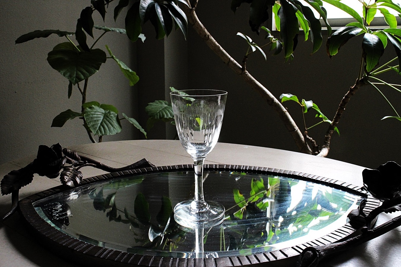 �Х��顡��ꥨ���롡�磻�󥰥饹��135mm��6753