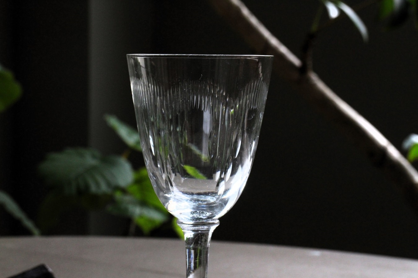 �Х��顡��ꥨ���롡�磻�󥰥饹��135mm��6753